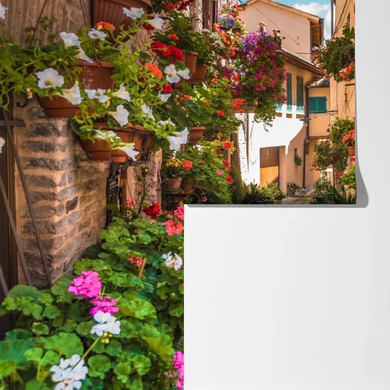 Fototapeta słoneczna kwiatowa alejka w Umbrii Fototapeta słoneczna kwiatowa alejka w Umbrii