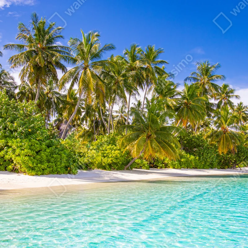 Tischaufkleber und Schreibtischaufkleber tropischer palmenstrand Tischaufkleber und Schreibtischaufkleber tropischer palmenstrand
