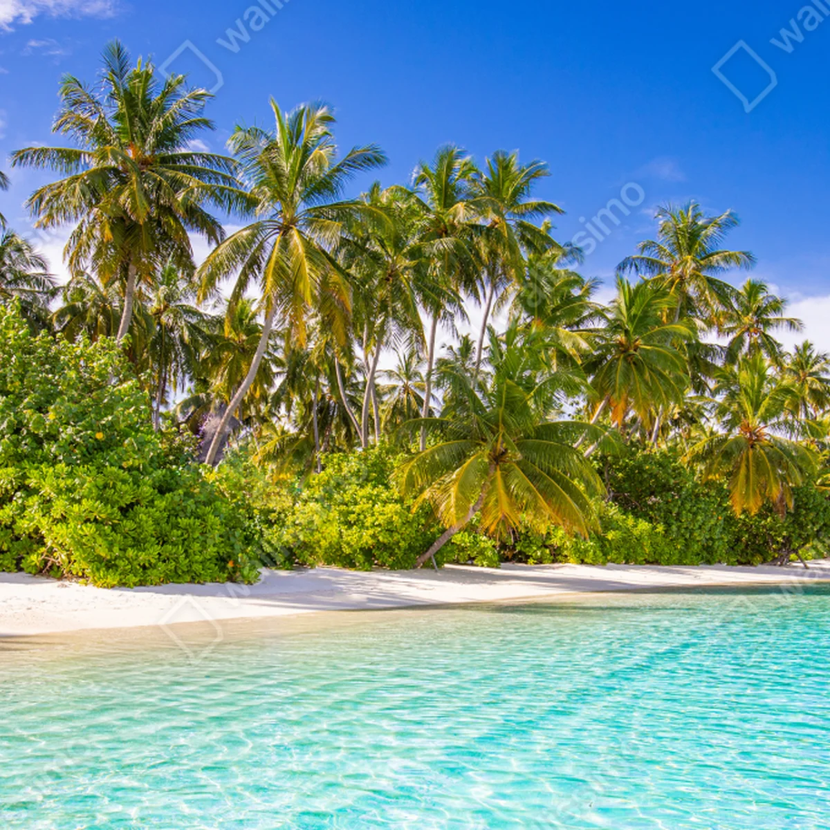 Tischaufkleber und Schreibtischaufkleber tropischer palmenstrand Tischaufkleber und Schreibtischaufkleber tropischer palmenstrand