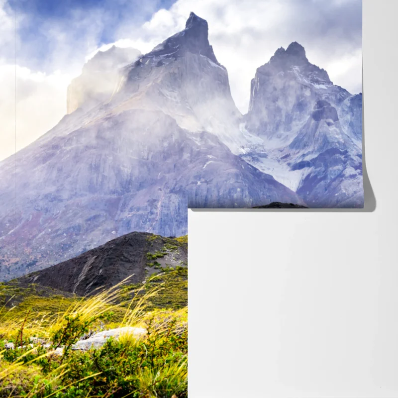 Fototapete Torres del Paine Patagonia landschaft mit guanako Fototapete Torres del Paine Patagonia landschaft mit guanako