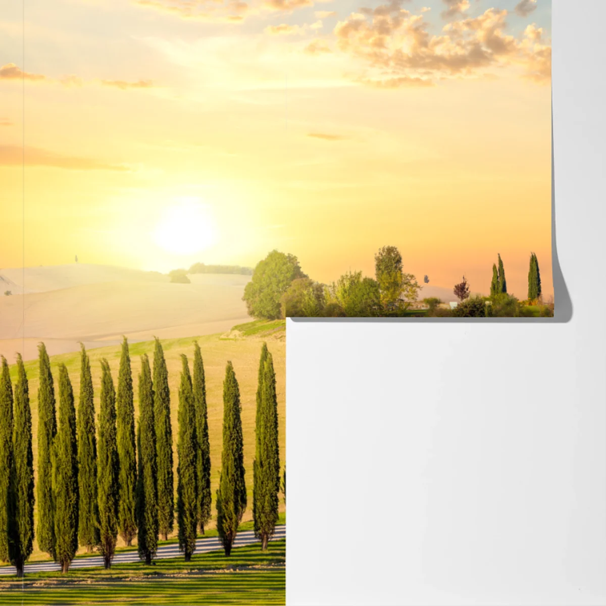 Fototapete Toskana sonnenuntergang zypressenallee Fototapete Toskana sonnenuntergang zypressenallee