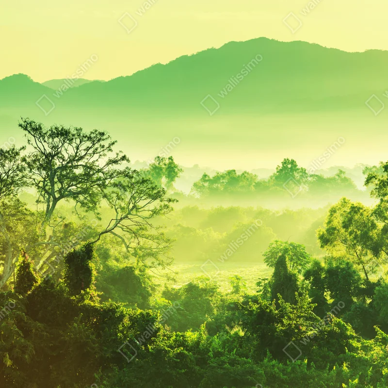 Fototapete üppige tropische dschungellandschaft Fototapete üppige tropische dschungellandschaft