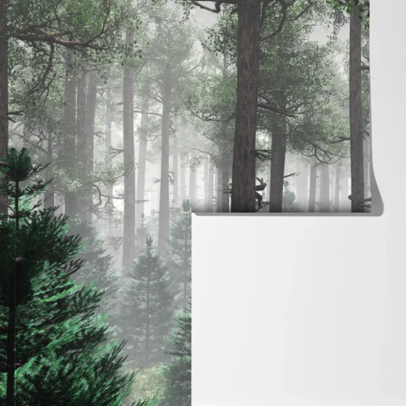 Fototapete nebliger immergrüner wald Fototapete nebliger immergrüner wald