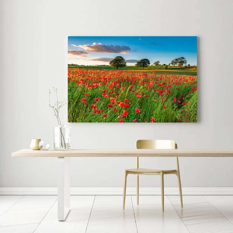 Leinwandbild rotes mohnfeld bei Corbridge Leinwandbild rotes mohnfeld bei Corbridge