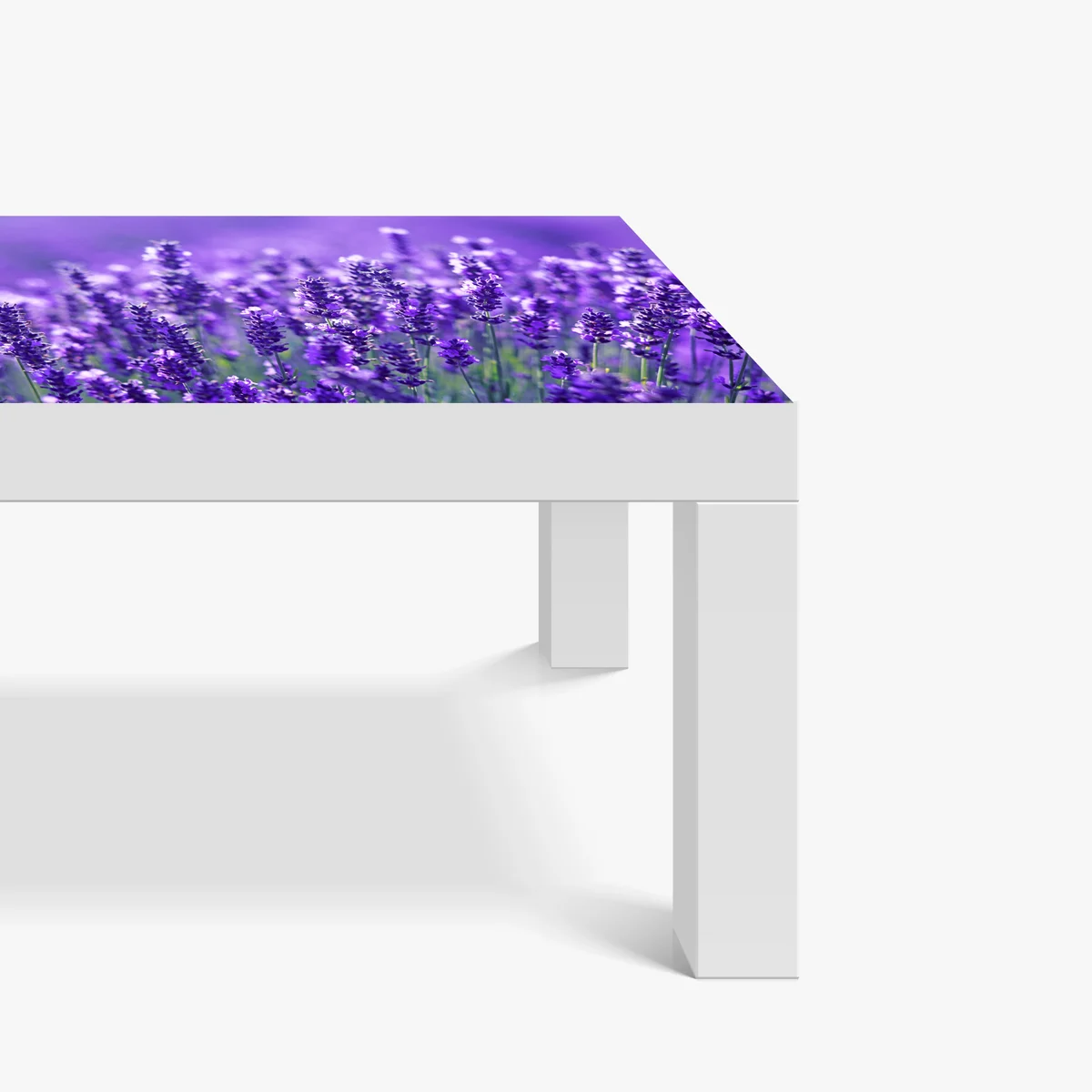 Tischaufkleber und Schreibtischaufkleber lavendelfeld nahaufnahme Tischaufkleber und Schreibtischaufkleber lavendelfeld nahaufnahme