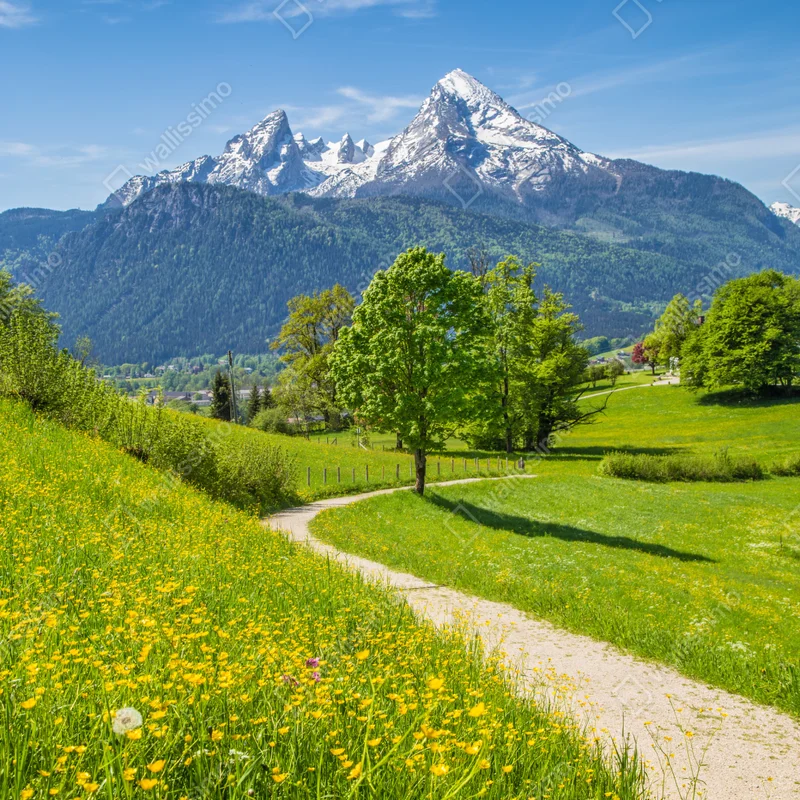Poster alpenwiese und bergpfad Poster alpenwiese und bergpfad