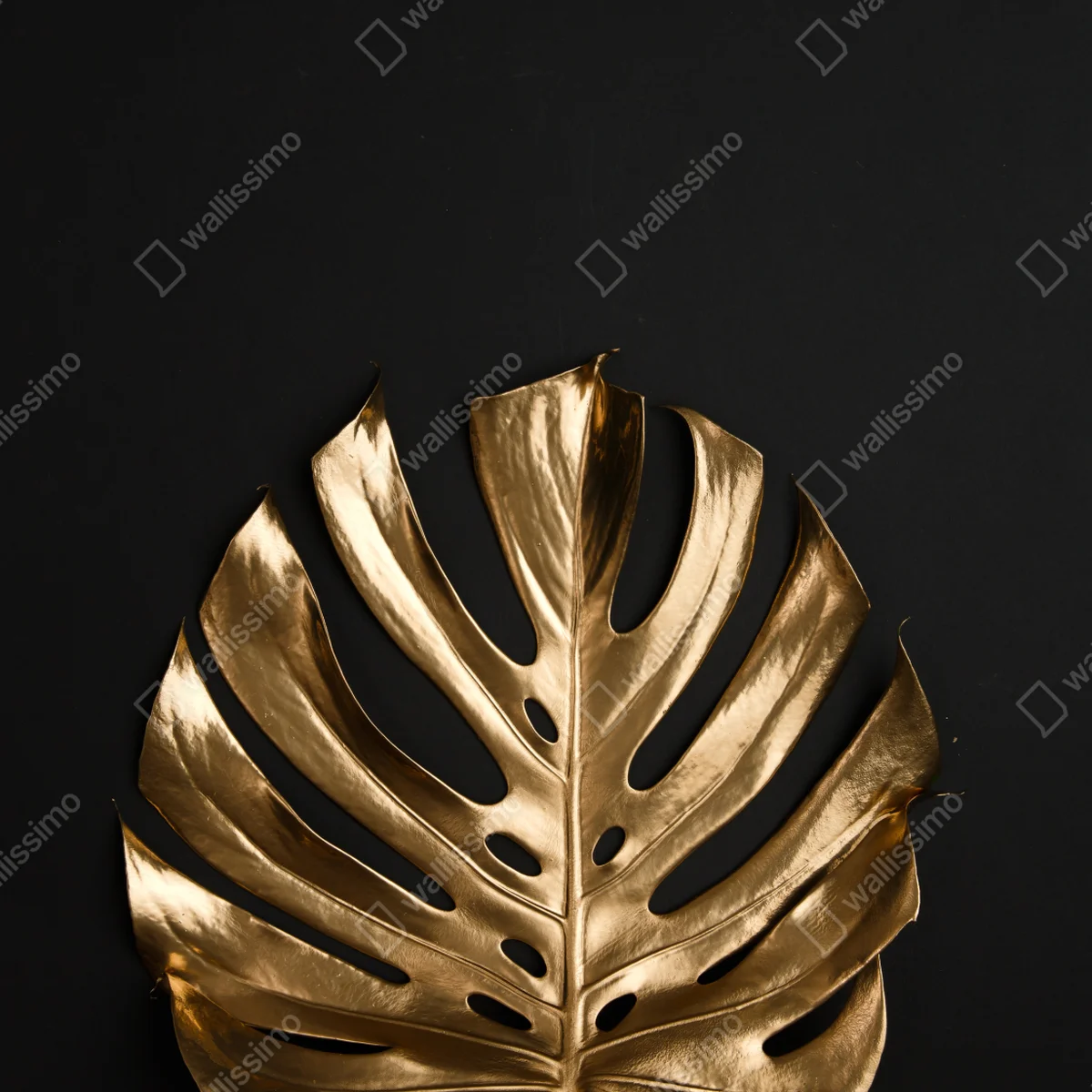 Poster goldene monstera auf schwarzem hintergrund • Poster bei Wallnifity® Poster goldene monstera auf schwarzem hintergrund • Poster bei Wallnifity®