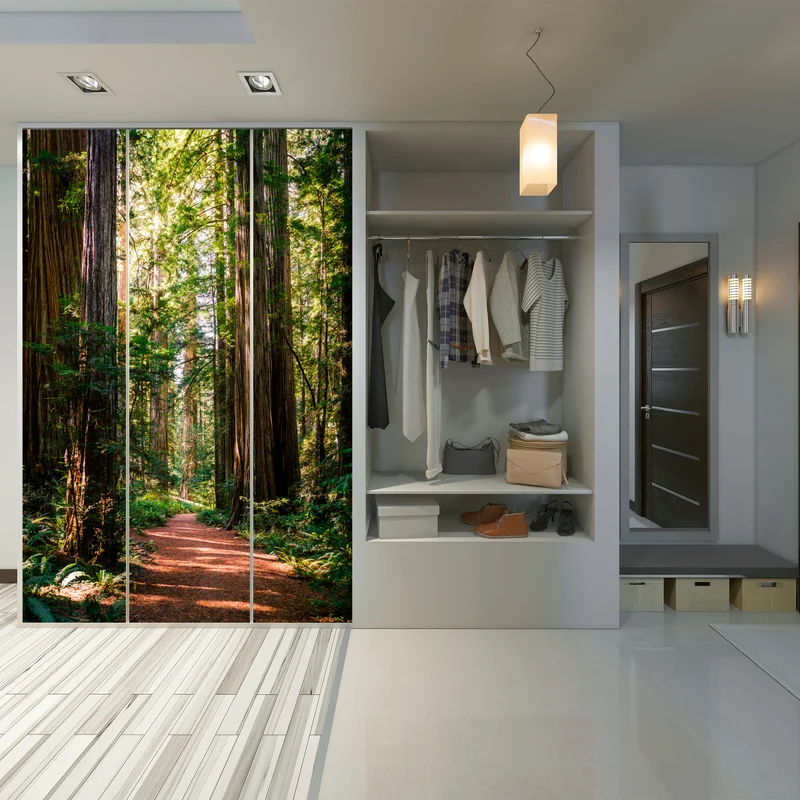 Schrankaufkleber majestätischer weg im sekwoienwald