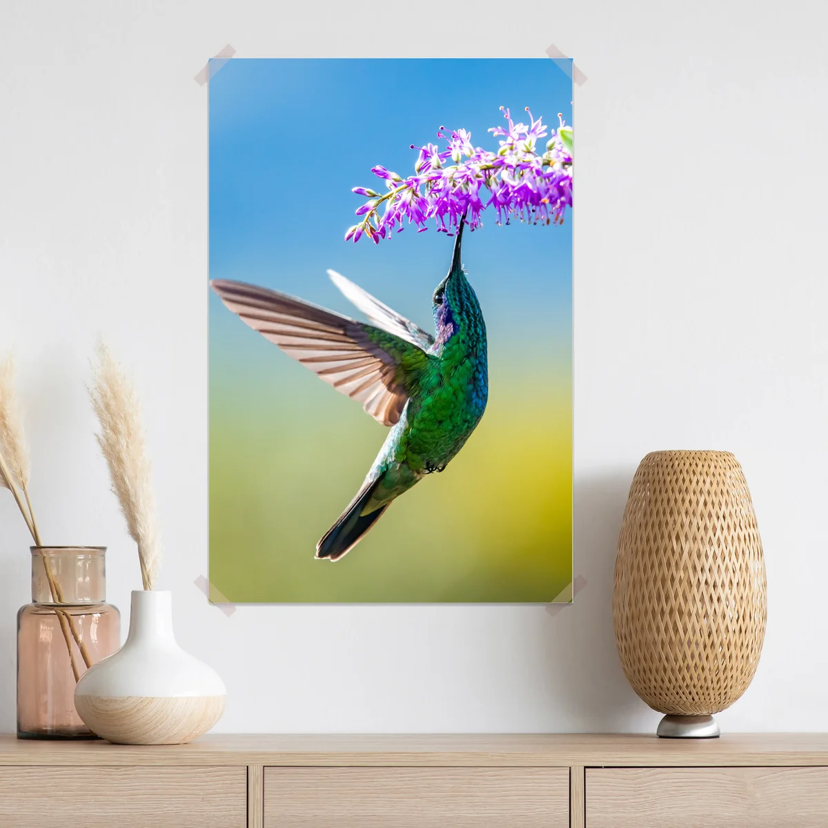 Poster kolibri an violetter blüte Poster kolibri an violetter blüte