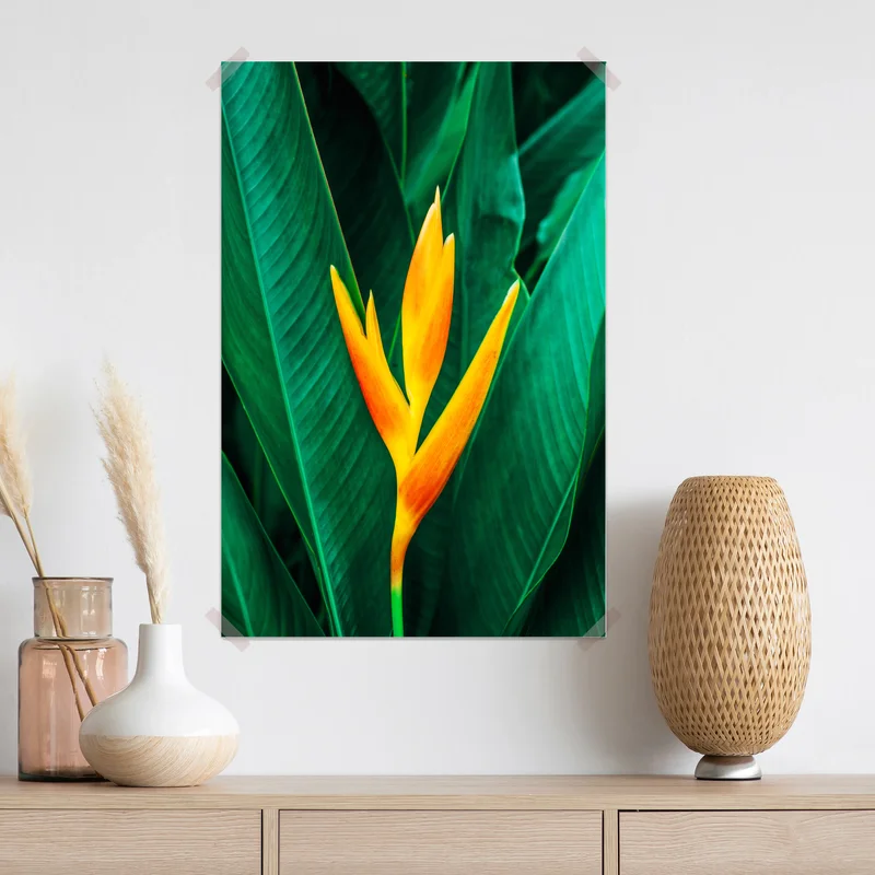 Poster leuchtende tropische heliconia vor satten grünen blättern Poster leuchtende tropische heliconia vor satten grünen blättern