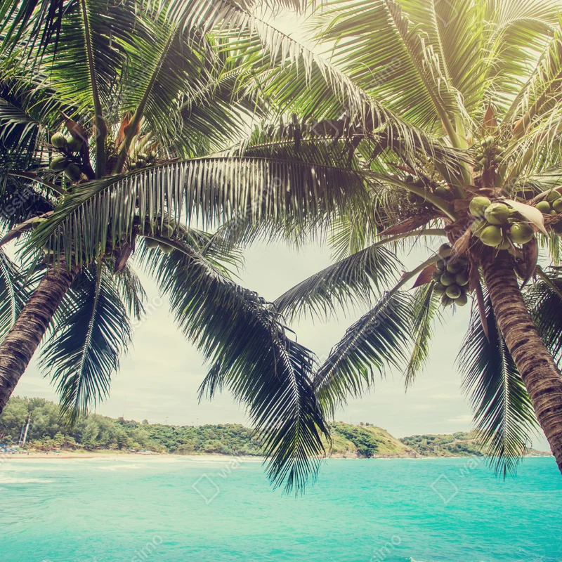 Poster tropische kokospalmen am türkisfarbenen meer Poster tropische kokospalmen am türkisfarbenen meer