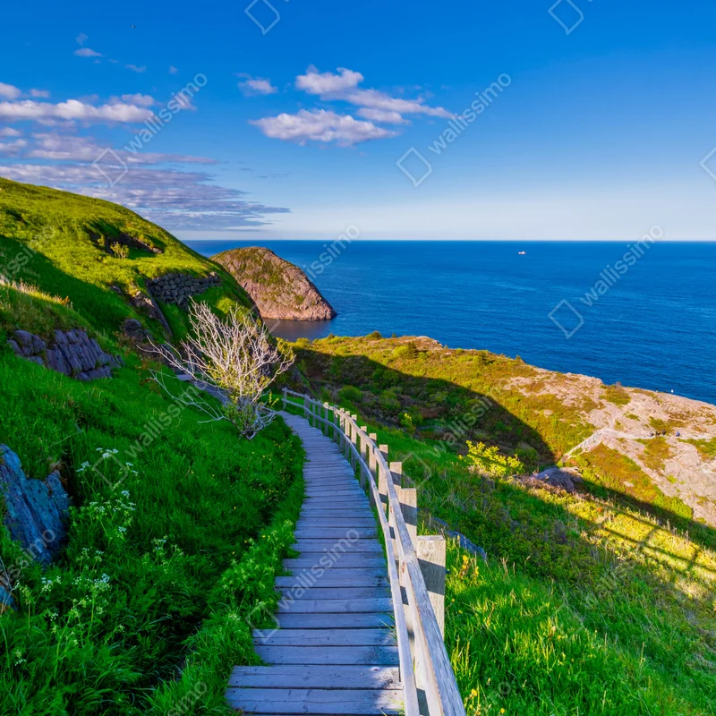 Leinwandbild küstenpfad mit blick auf das meer Leinwandbild küstenpfad mit blick auf das meer