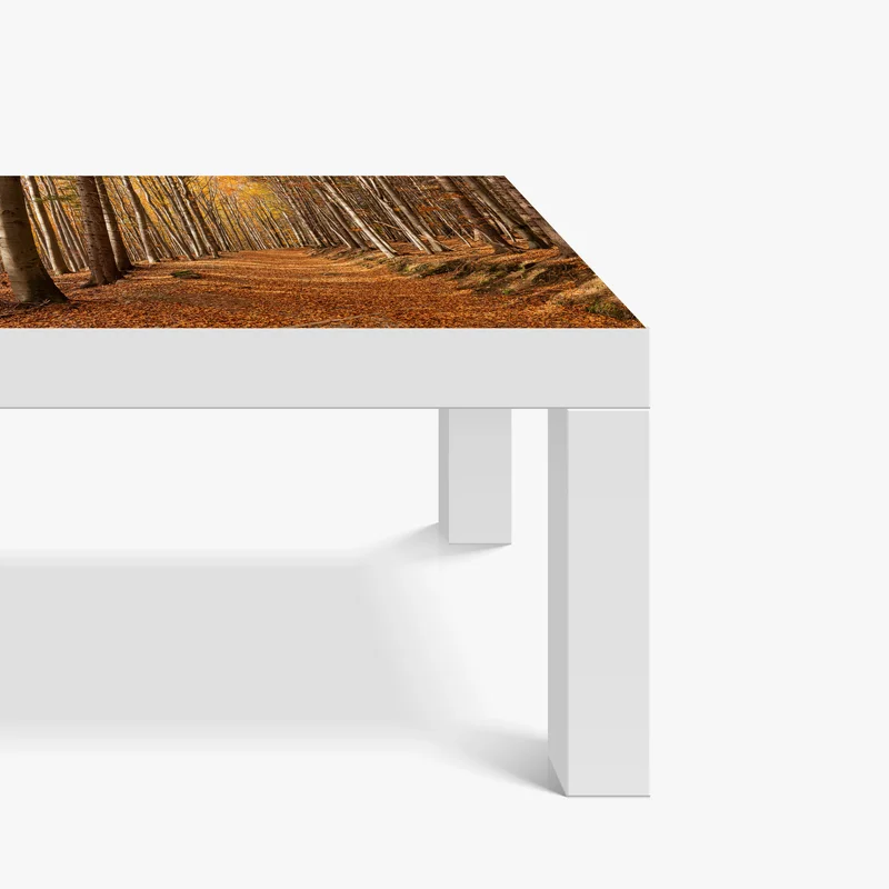 Tischaufkleber und Schreibtischaufkleber herbstlicher waldweg mit goldenen blättern Tischaufkleber und Schreibtischaufkleber herbstlicher waldweg mit goldenen blättern