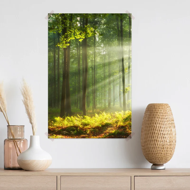 Poster sonniger morgenwald Poster sonniger morgenwald