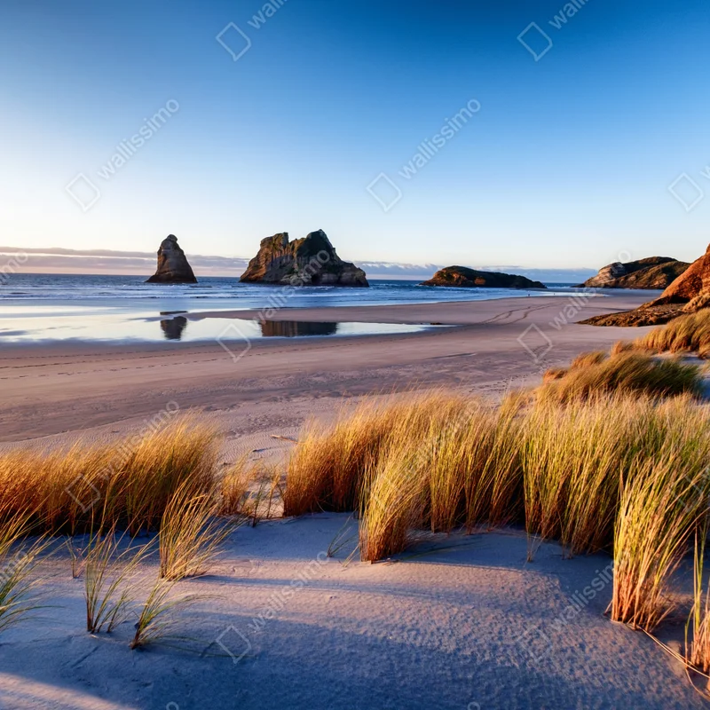 Fensteraufkleber Wharariki Beach friedliche küstenlandschaft im morgenlicht Fensteraufkleber Wharariki Beach friedliche küstenlandschaft im morgenlicht