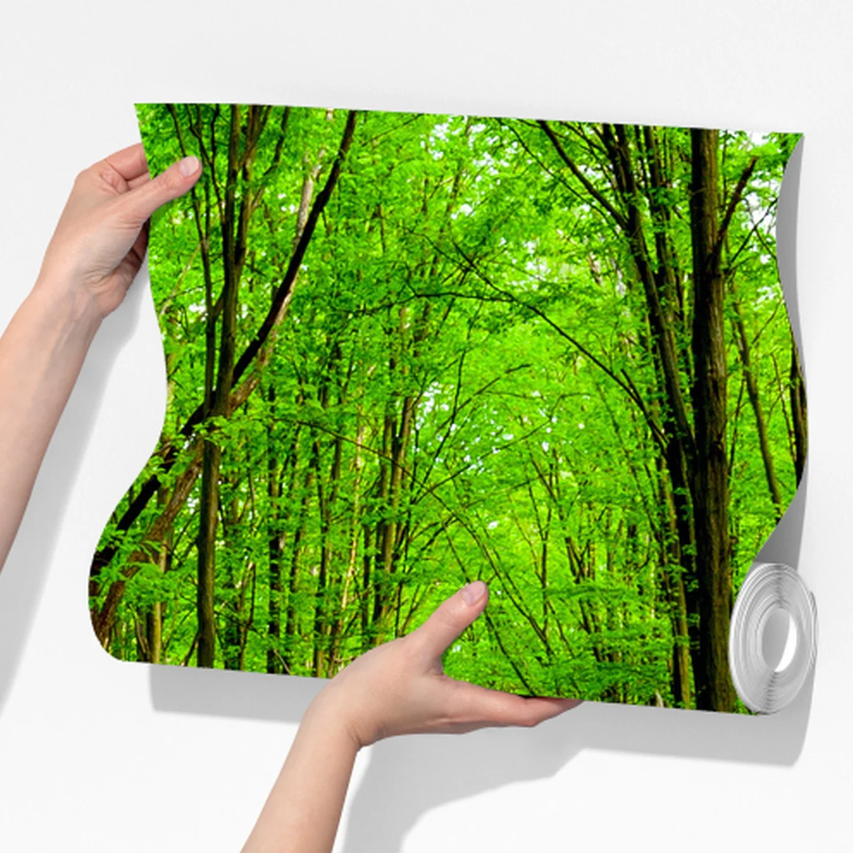 Fototapete grüner waldweg im frühling Fototapete grüner waldweg im frühling