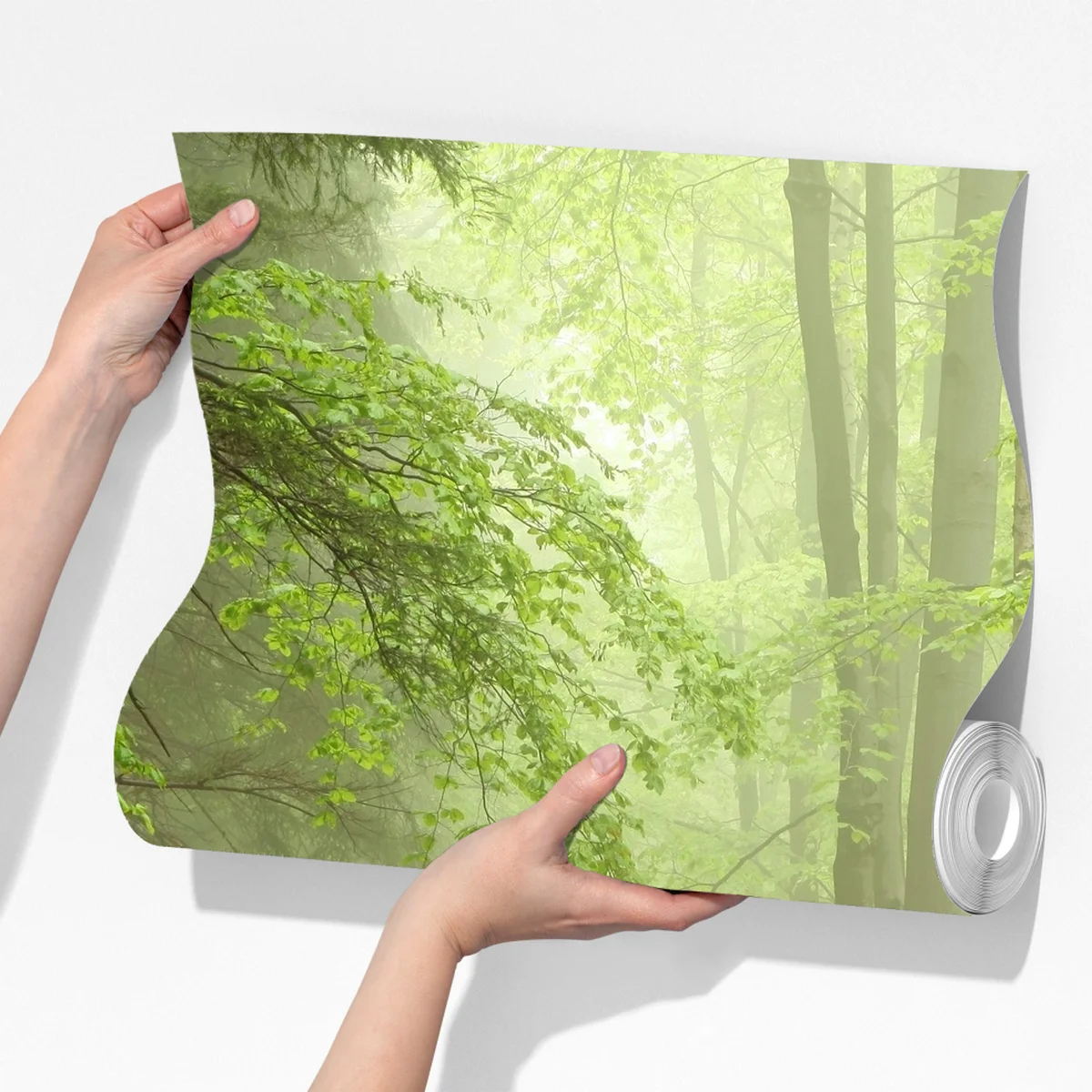 Fototapete nebliger waldpfad Fototapete nebliger waldpfad