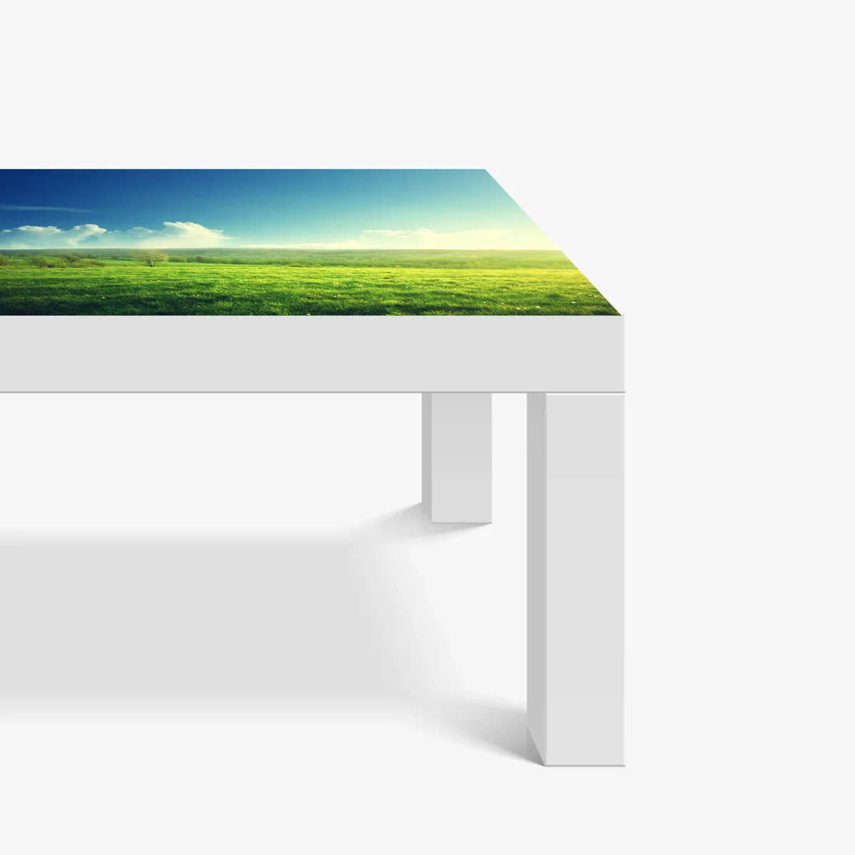 Tischaufkleber und Schreibtischaufkleber sonnige frühlingswiese im abendlicht Tischaufkleber und Schreibtischaufkleber sonnige frühlingswiese im abendlicht