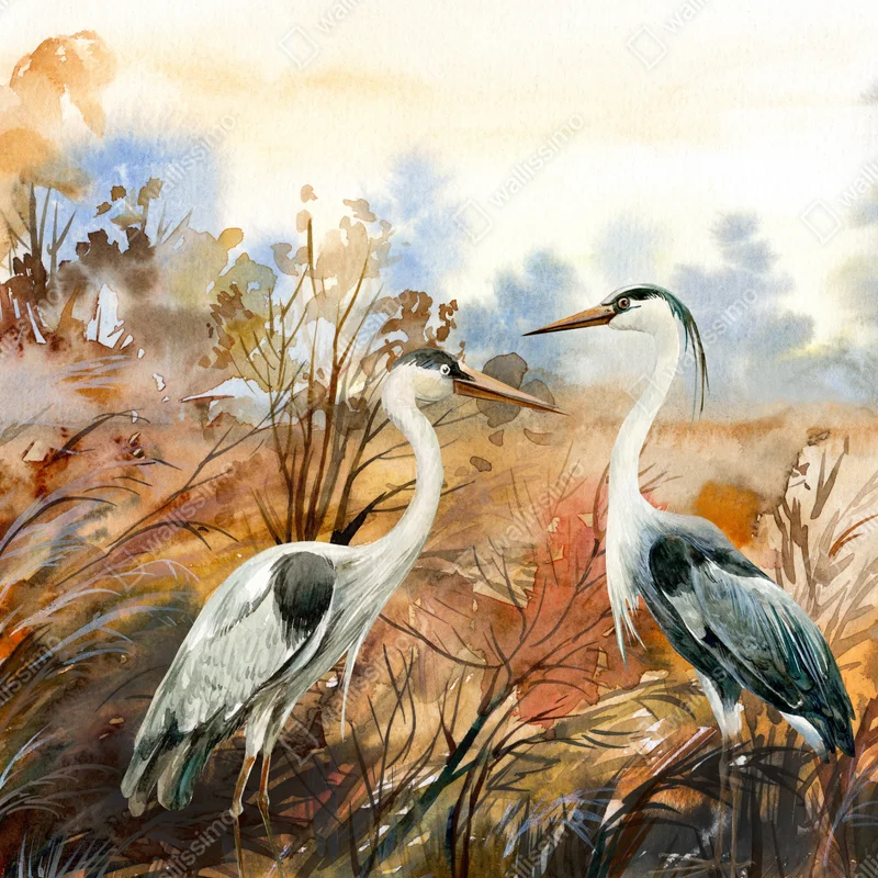 Tischaufkleber und Schreibtischaufkleber zwei reiher im herbstlichen sumpf Tischaufkleber und Schreibtischaufkleber zwei reiher im herbstlichen sumpf