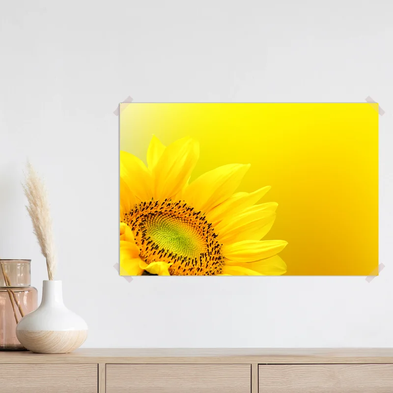 Poster leuchtende sonnenblume nahaufnahme auf gelbem hintergrund Poster leuchtende sonnenblume nahaufnahme auf gelbem hintergrund