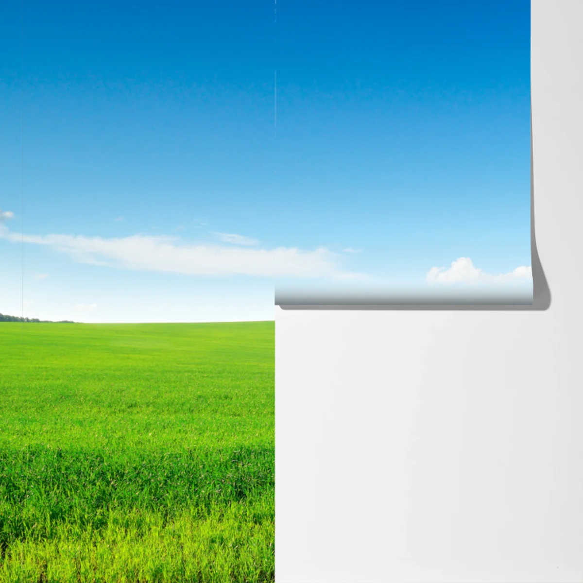 Fototapete ruhige grüne wiese unter blauem himmel Fototapete ruhige grüne wiese unter blauem himmel