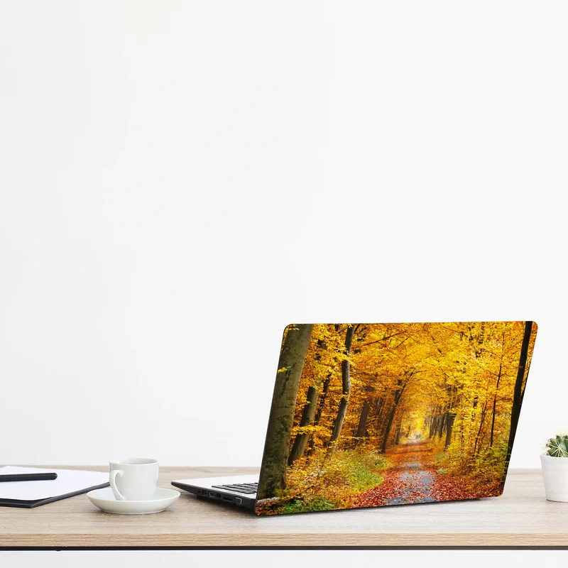 Naklejka na laptopa złota ścieżka w jesiennym lesie Naklejka na laptopa złota ścieżka w jesiennym lesie