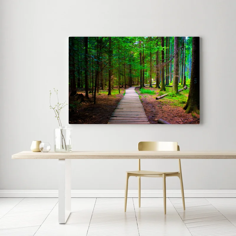 Leinwandbild ruhiger waldsteg im grünen Leinwandbild ruhiger waldsteg im grünen