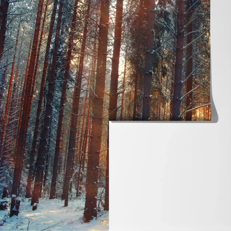 Fototapeta zimowy las o świcie Fototapeta zimowy las o świcie