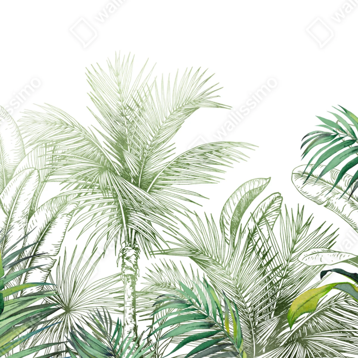 Poster üppiges tropisches aquarelllaub • Poster bei Wallnifity® Poster üppiges tropisches aquarelllaub • Poster bei Wallnifity®