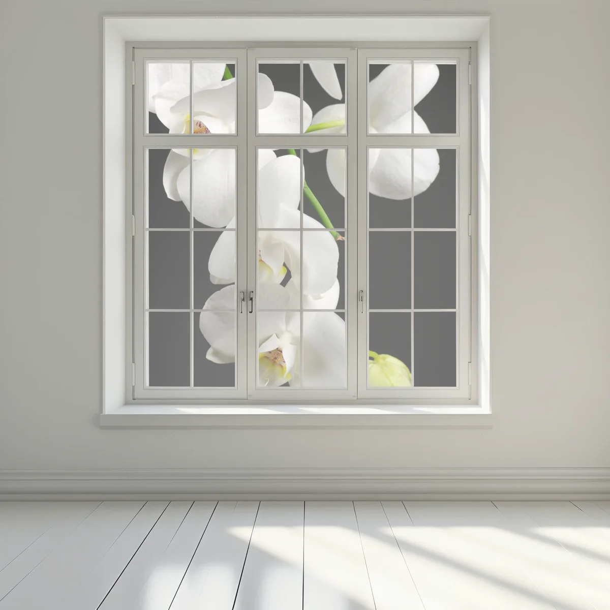 Fensteraufkleber weißer orchideenzweig vor schwarzem hintergrund Fensteraufkleber weißer orchideenzweig vor schwarzem hintergrund