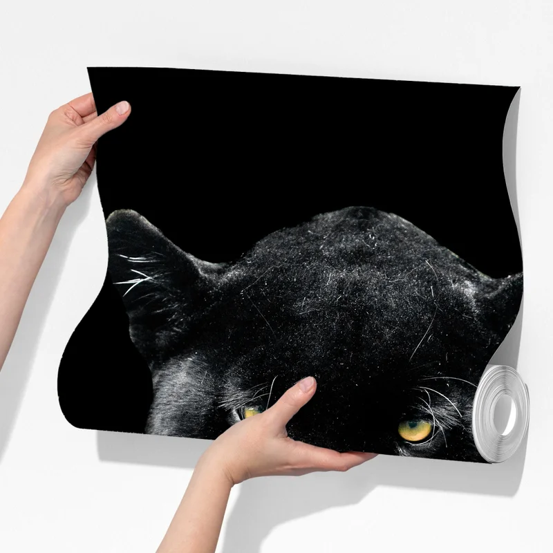 Fototapete porträt eines schwarzen panthers vor schwarzem hintergrund Fototapete porträt eines schwarzen panthers vor schwarzem hintergrund