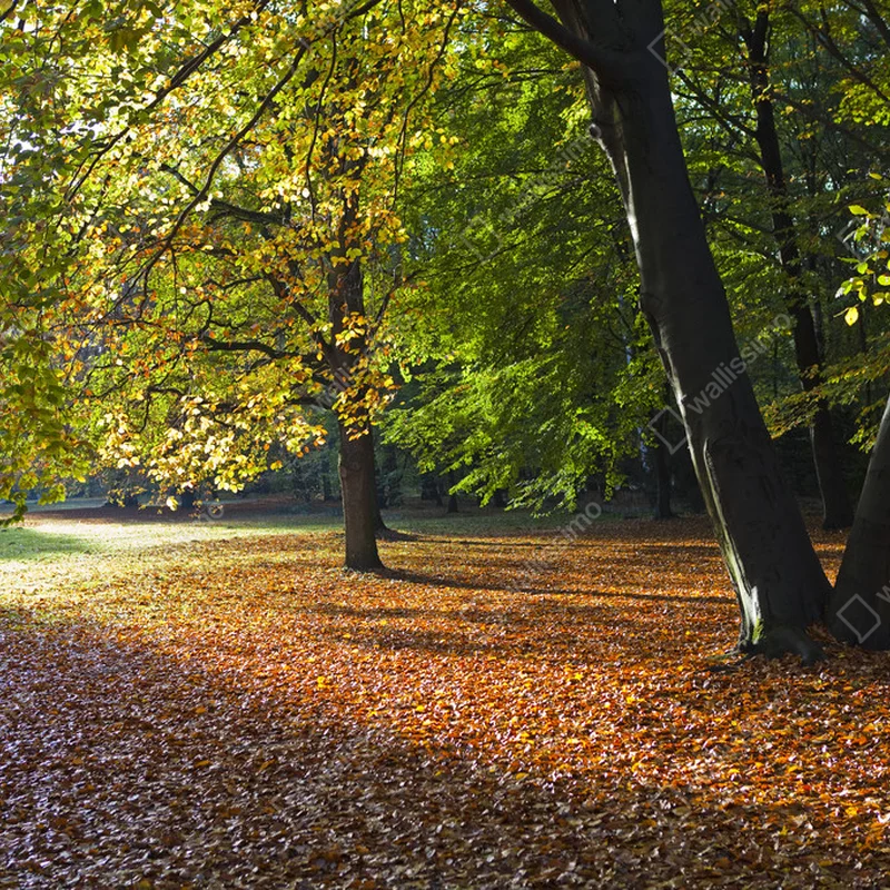 Leinwandbild Tiergarten in Berlin • Leinwandbilder bei Wallnifity® Leinwandbild Tiergarten in Berlin • Leinwandbilder bei Wallnifity®