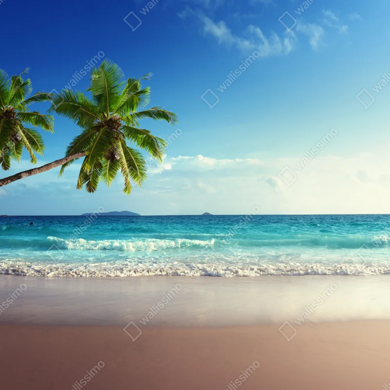 Schrankaufkleber tropischer Karibikstrand bei sonnenuntergang Schrankaufkleber tropischer Karibikstrand bei sonnenuntergang