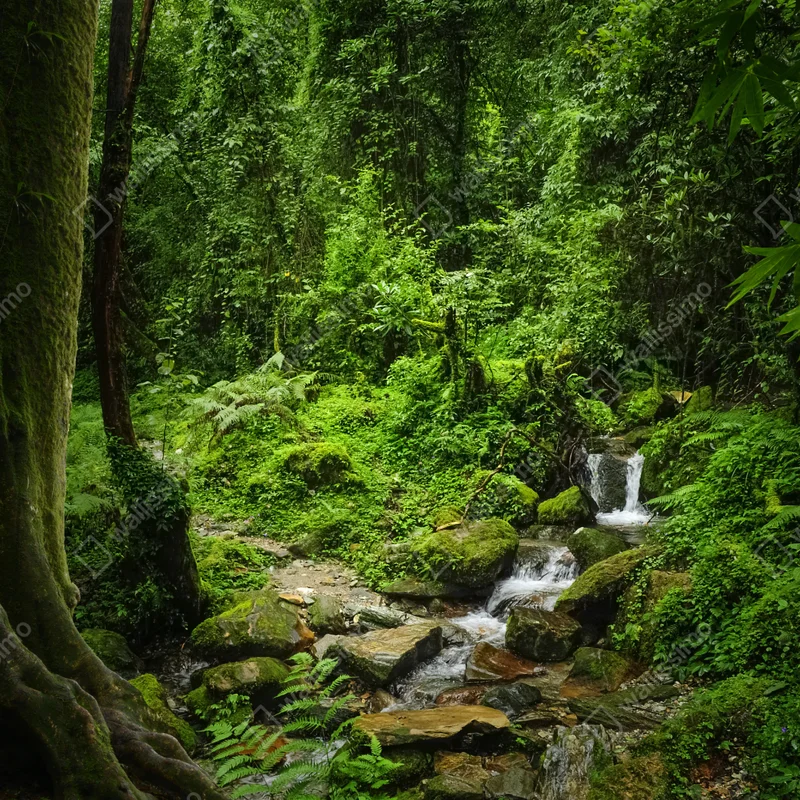 Türaufkleber üppiger grüner waldwasserfall Türaufkleber üppiger grüner waldwasserfall