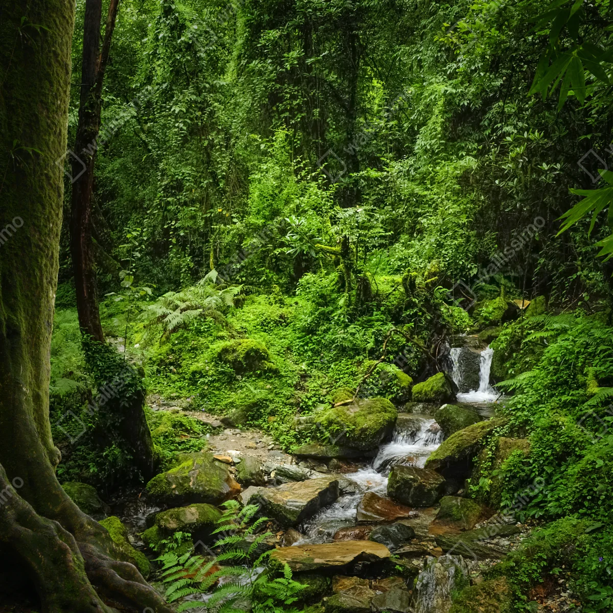 Türaufkleber üppiger grüner waldwasserfall Türaufkleber üppiger grüner waldwasserfall