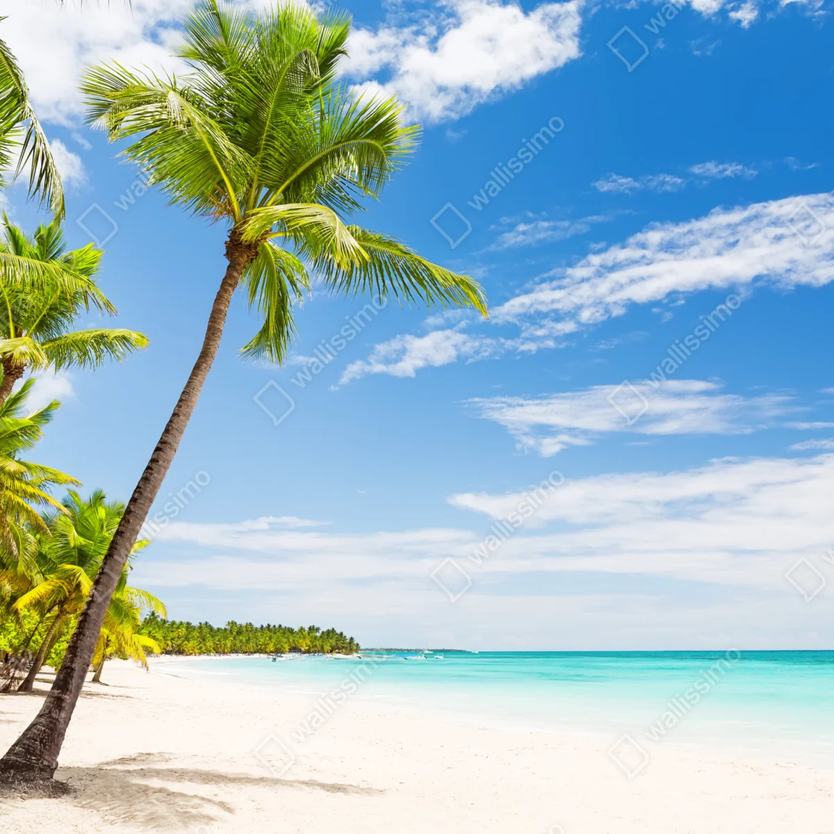 Naklejka na laptopa plaża z palmami w Punta Cana Naklejka na laptopa plaża z palmami w Punta Cana