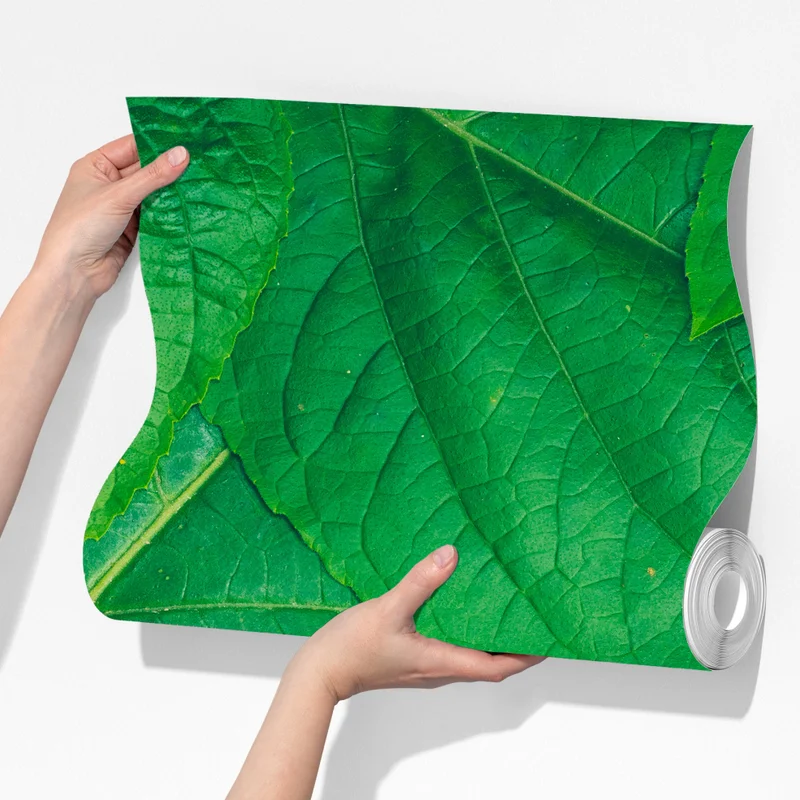 Fototapeta soczyste zielone liście Fototapeta soczyste zielone liście