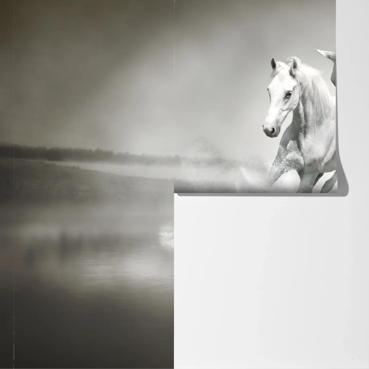 Fototapete drei weiße pferde im galopp durch wasser Fototapete drei weiße pferde im galopp durch wasser