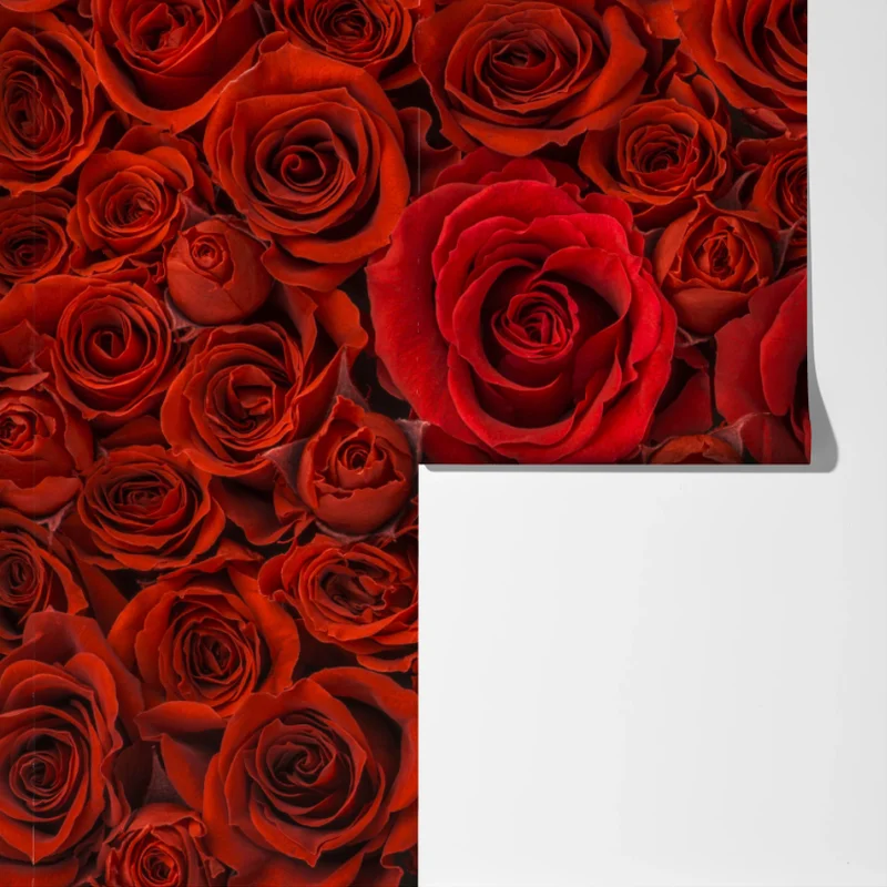 Fototapete prunkvolle collage roter rosen Fototapete prunkvolle collage roter rosen