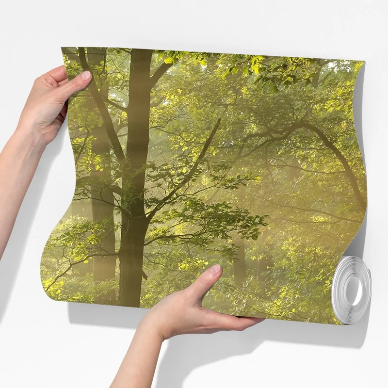 Fototapete morgendliches licht im wald Fototapete morgendliches licht im wald