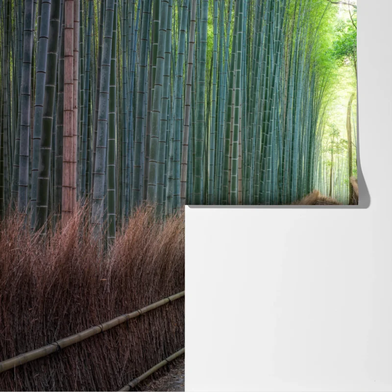 Fototapete ruhiger bambuswaldweg Fototapete ruhiger bambuswaldweg