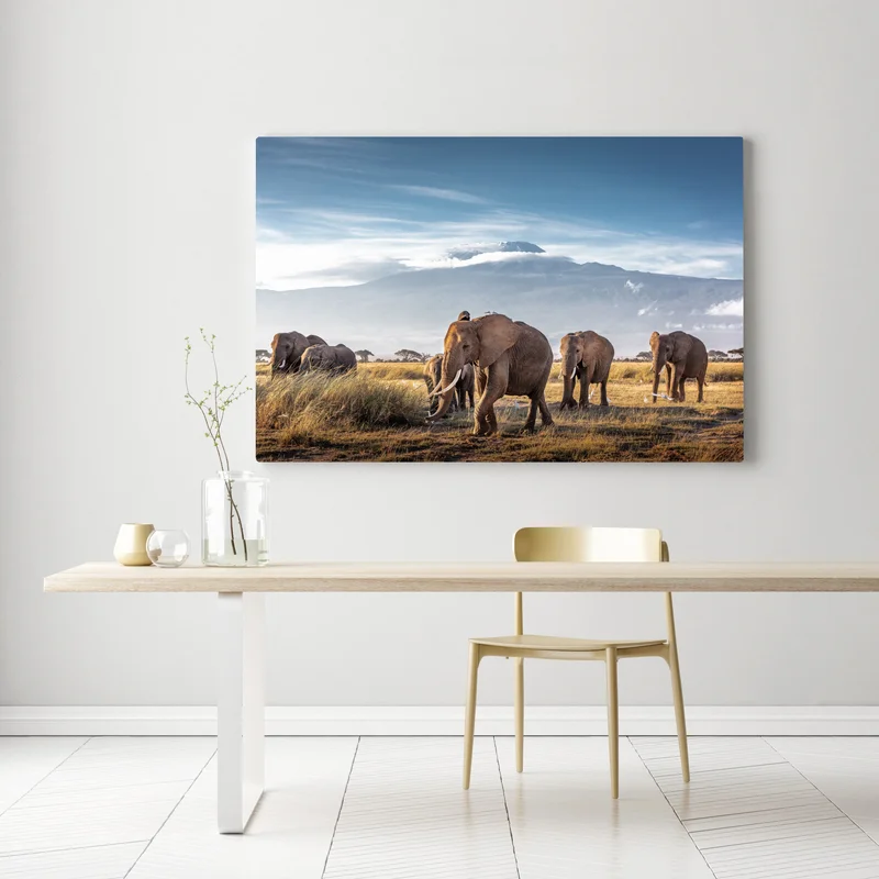 Leinwandbild elefantenherde vor Kilimandscharo Leinwandbild elefantenherde vor Kilimandscharo
