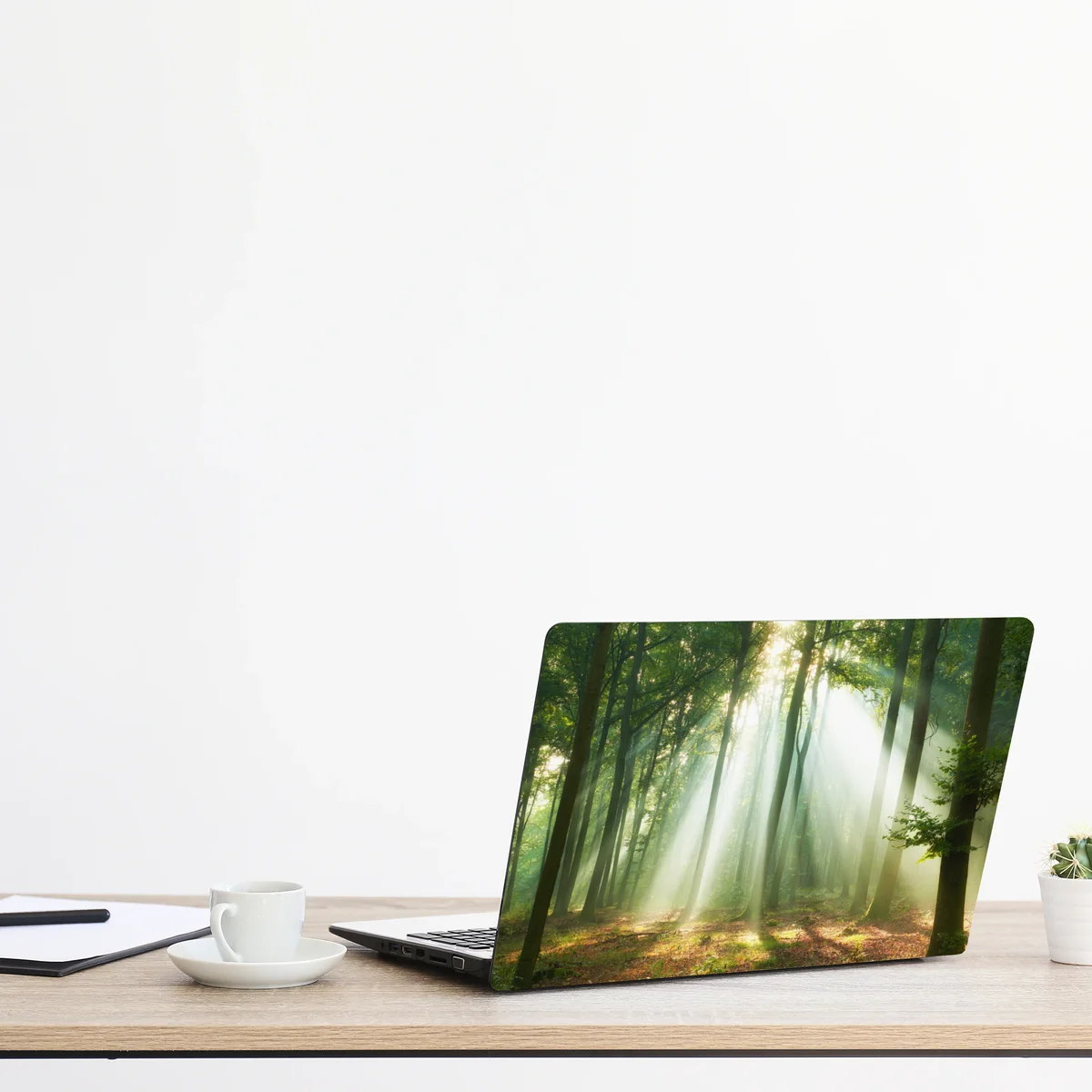 Naklejka na laptopa poranne światło w lesie Naklejka na laptopa poranne światło w lesie