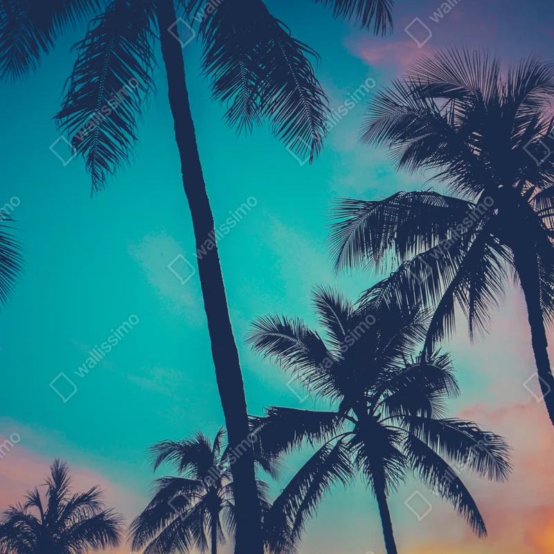 Repositionierbarer Aufkleber vintage palmen auf Hawaii bei sonnenuntergang Repositionierbarer Aufkleber vintage palmen auf Hawaii bei sonnenuntergang