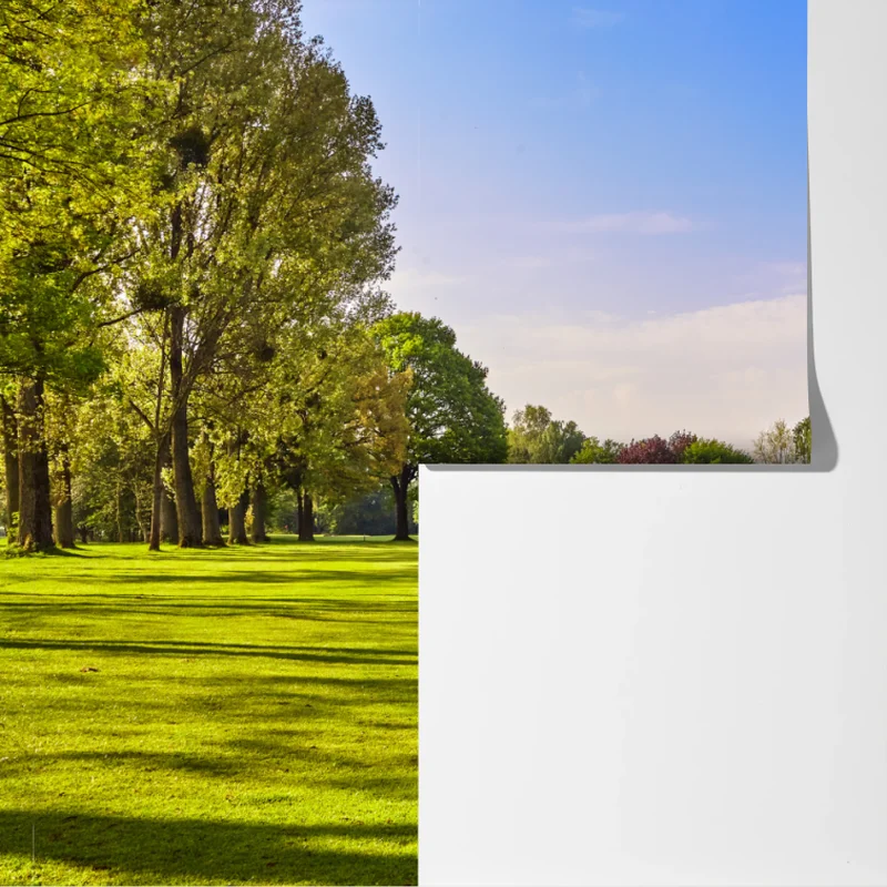 Fototapete sonnige panoramaaufnahme eines stadtparks Fototapete sonnige panoramaaufnahme eines stadtparks