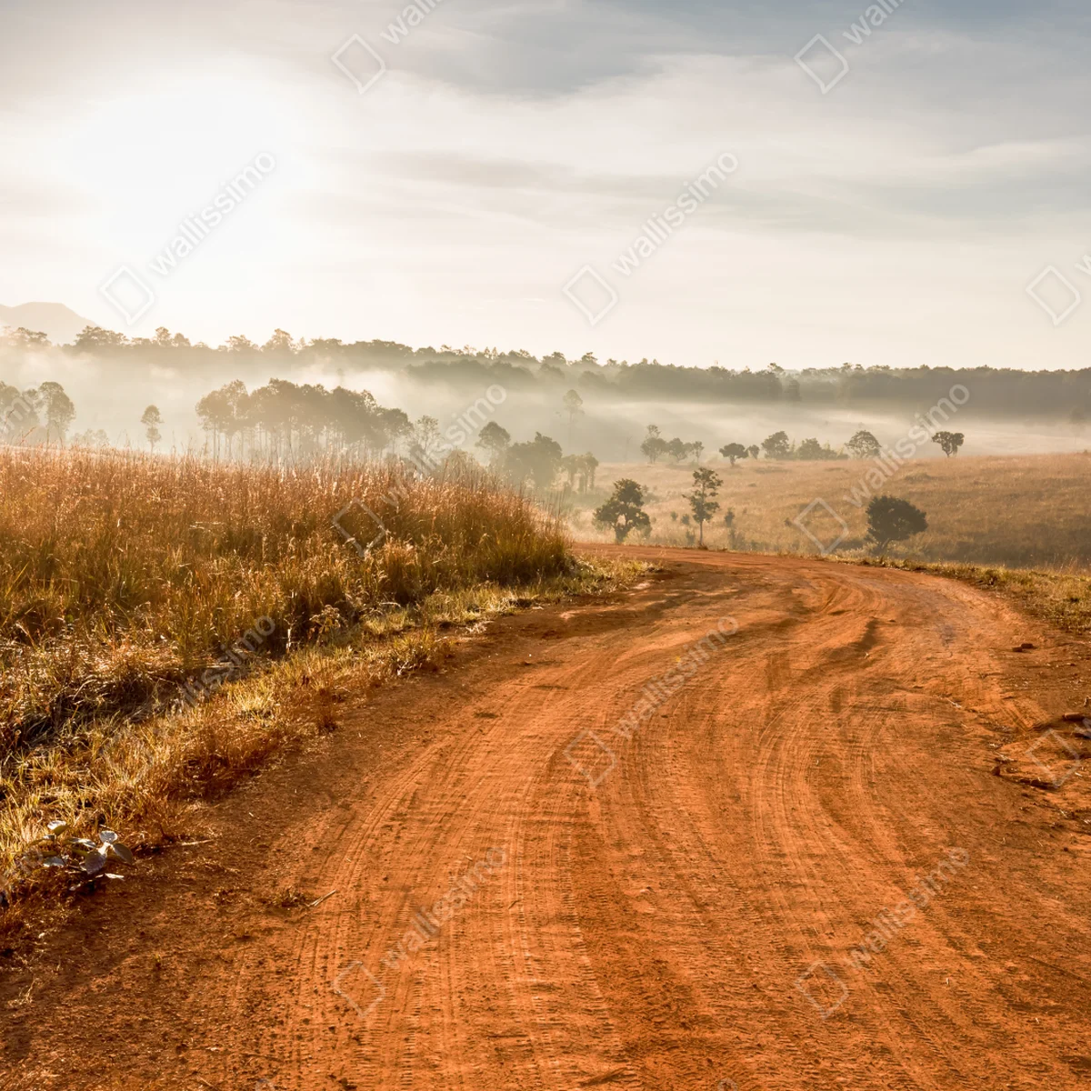 Fototapete morgendlicher feldweg in Thung Salaeng Luang Fototapete morgendlicher feldweg in Thung Salaeng Luang