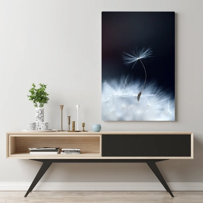 Leinwandbild zarte makroaufnahme eines löwenzahnsamens • Leinwandbilder bei Wallnifity® Leinwandbild zarte makroaufnahme eines löwenzahnsamens • Leinwandbilder bei Wallnifity®