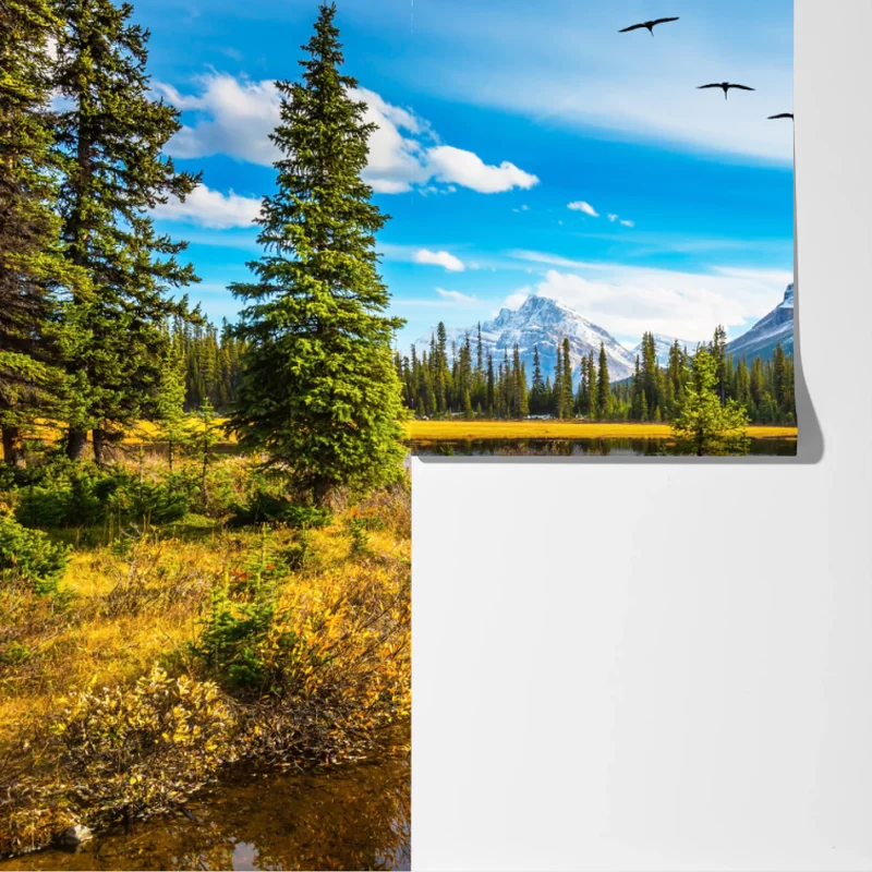 Fototapeta jesienne jezioro górskie z ptakami Fototapeta jesienne jezioro górskie z ptakami