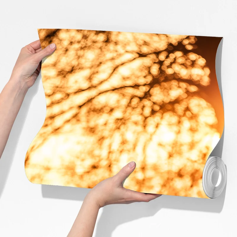 Fototapete goldener sonnenaufgang mit hirschen auf frostiger wiese Fototapete goldener sonnenaufgang mit hirschen auf frostiger wiese