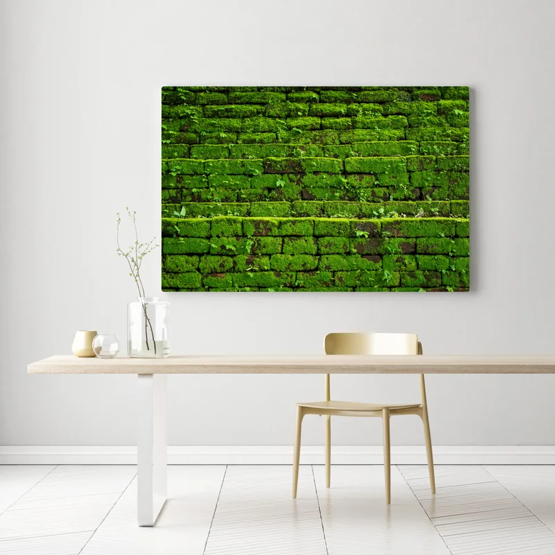 Leinwandbild üppige moosbedeckte ziegelwand Leinwandbild üppige moosbedeckte ziegelwand